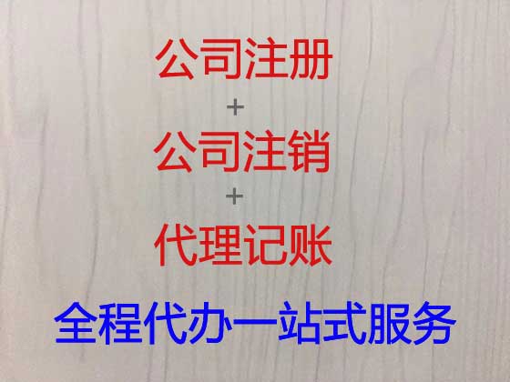 苏州专业注册公司代理,代办申请注册电子公司,工商年检代办